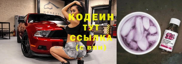 прущие грибы Горнозаводск