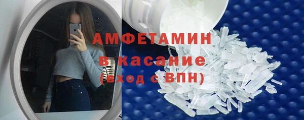 прущие грибы Горно-Алтайск