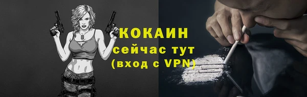 твердый Гусь-Хрустальный