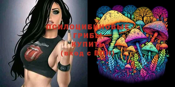 а пвп мука Гусев