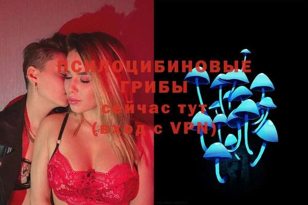 винт Гусиноозёрск