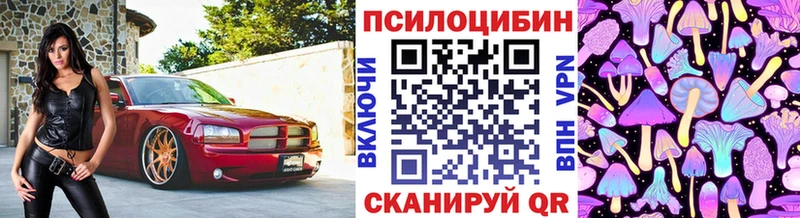 цены наркотик  Демидов  Галлюциногенные грибы MAGIC MUSHROOMS 